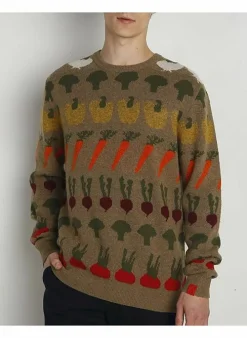 Antwrp Pull 9 beige Online